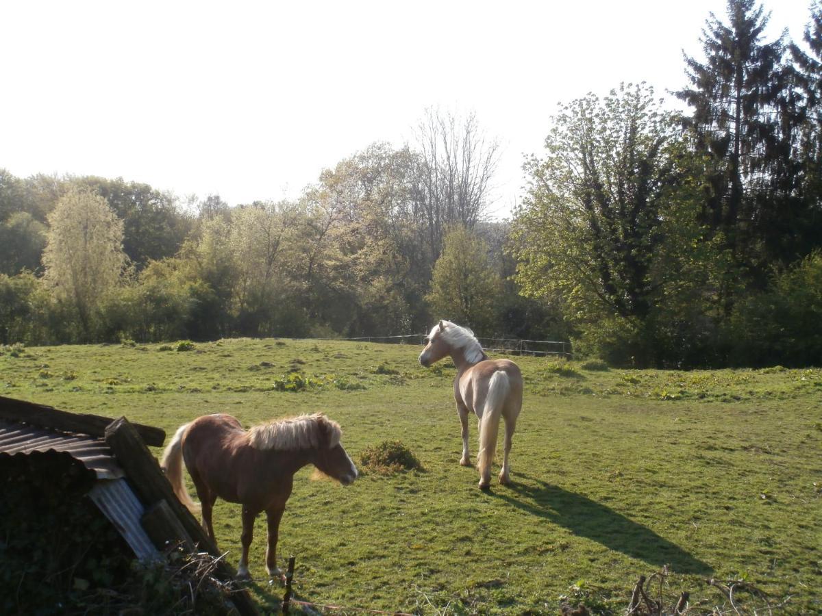 Bed and Breakfast L'Ermite Saint-Algis Exterior foto